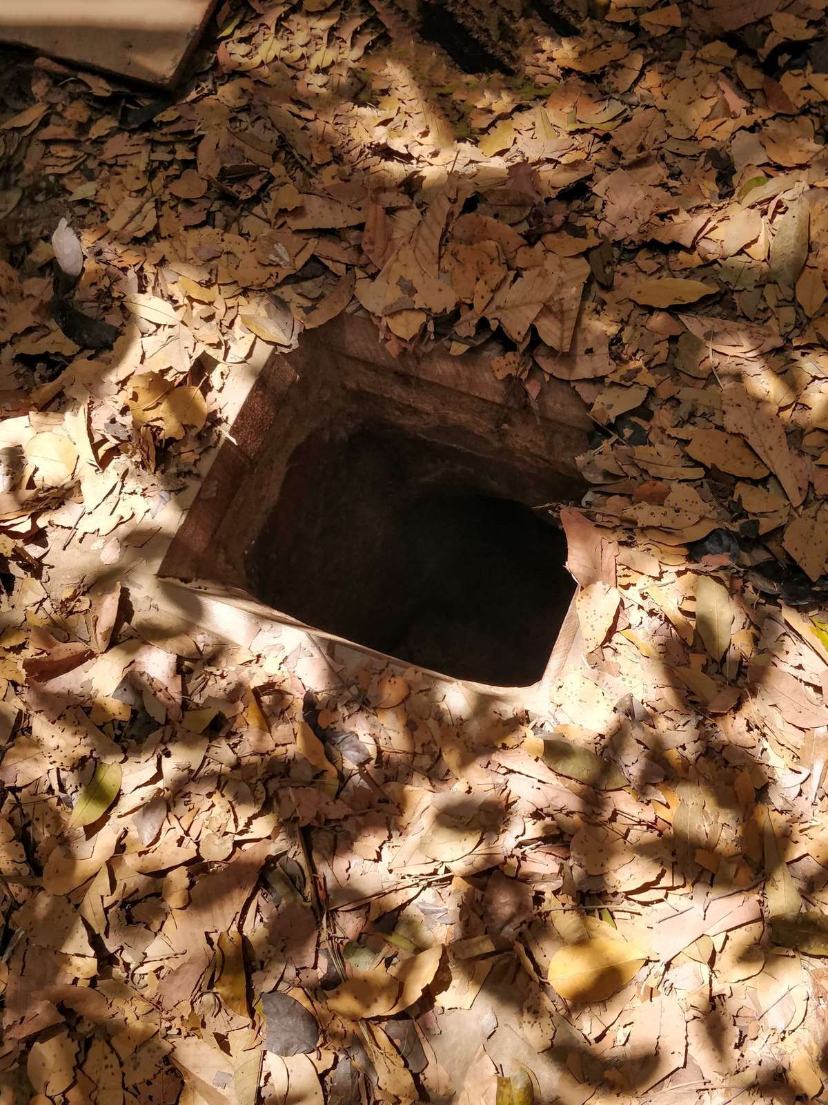 Exploring the Cu Chi Tunnels A Journey into Vietnam