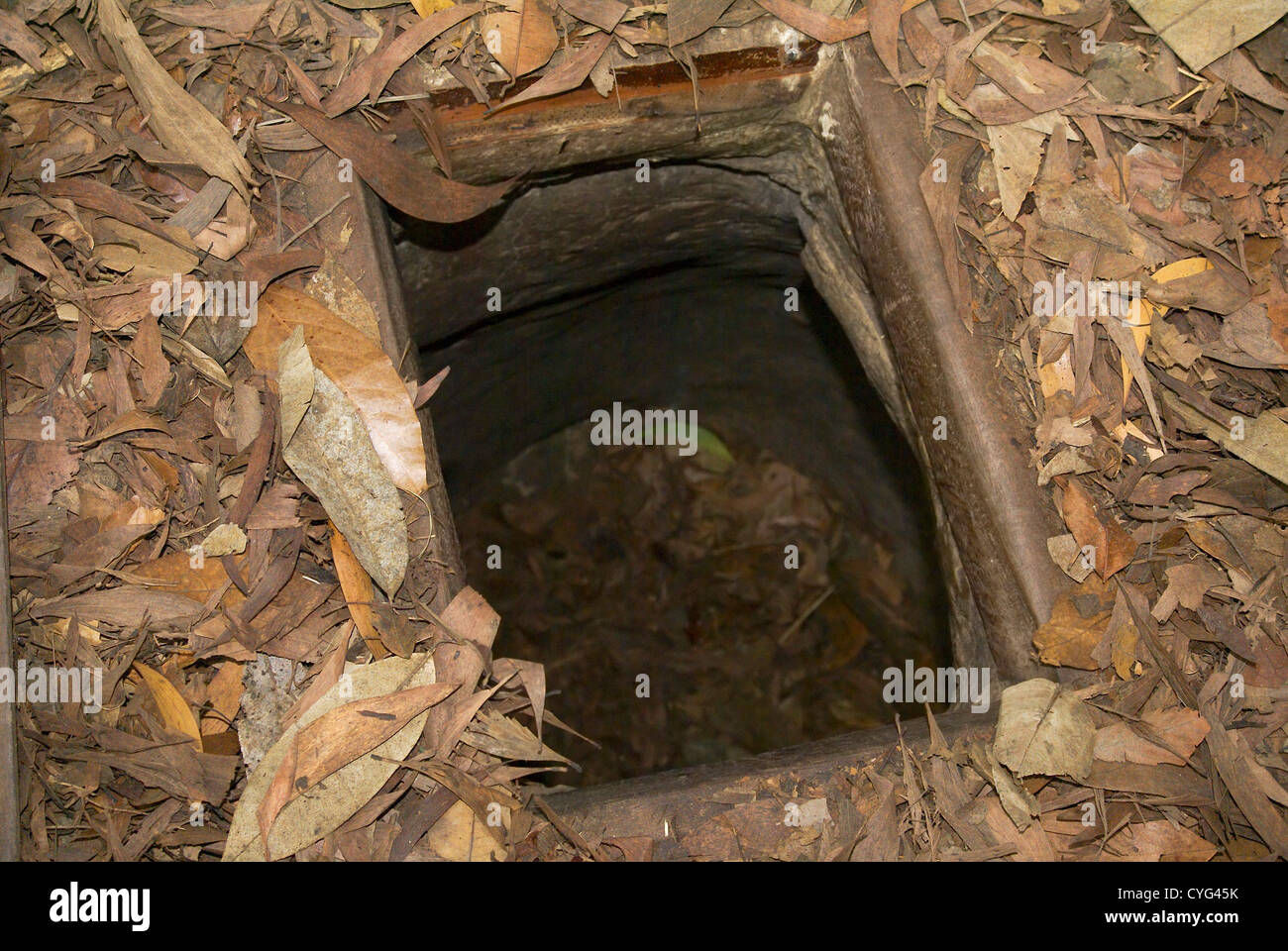 Tunnels Tour Ho Chi Minh Uncovering the Hidden History and Intricate Network