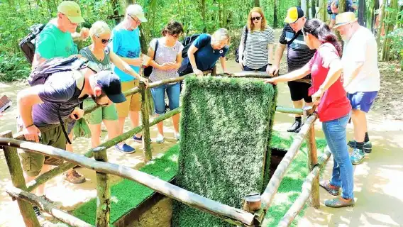 Tips for Visiting Cu Chi Tunnel tour half day